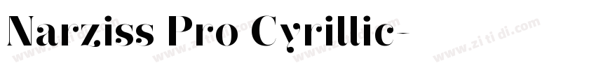 Narziss Pro Cyrillic字体转换
